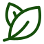 Leaf Icon